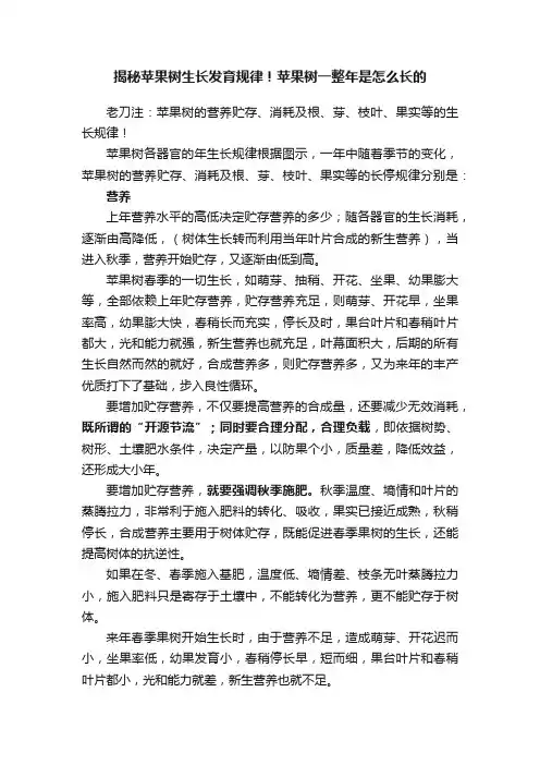 揭秘苹果树生长发育规律！苹果树一整年是怎么长的
