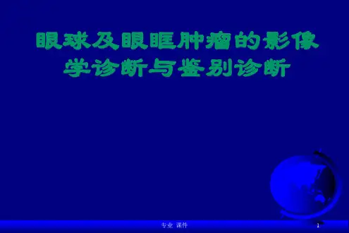 眼球及眼眶肿瘤的影像学诊断与鉴别诊断(精品课件)