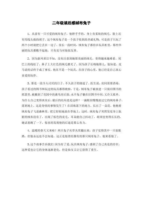 二年级读后感绒布兔子