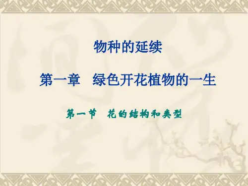 花的结构和类型