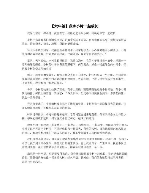 【六年级】我和小树一起成长