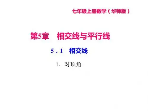 华东师大版七年级数学上册习题课件：5.1 相交线  1.对