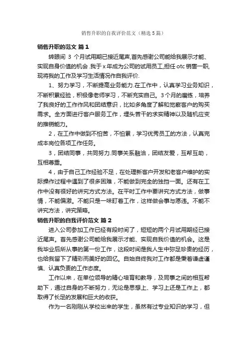 销售升职的自我评价范文（精选5篇）