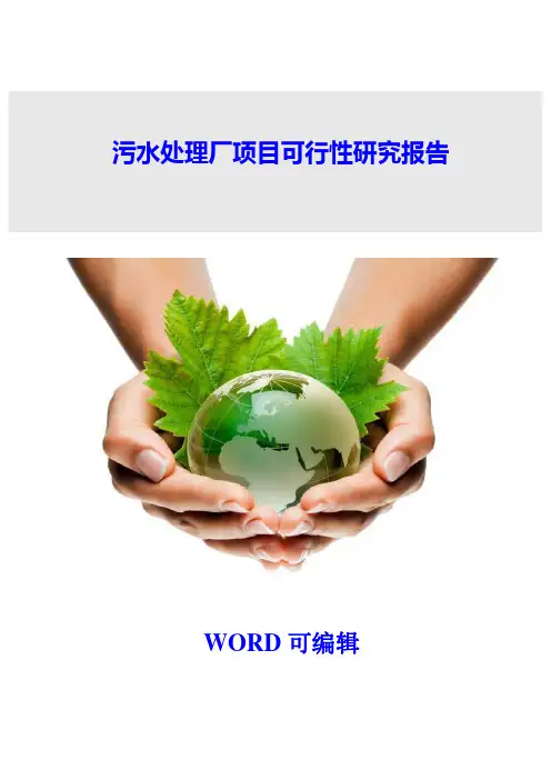 污水处理厂项目可行性研究报告