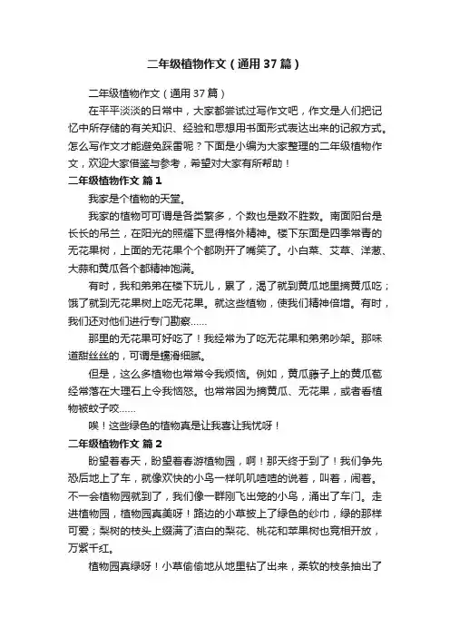 二年级植物作文（通用37篇）