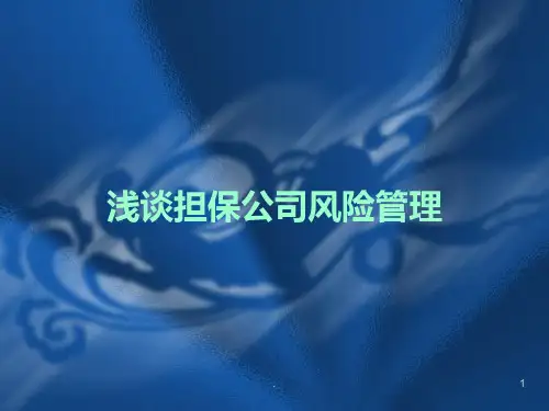 浅谈担保公司风险管理PPT课件