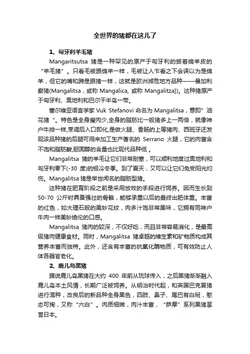 全世界的猪都在这儿了
