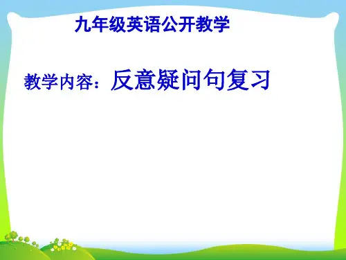 人教版英语九全 Unit 8 Section A(反义疑问句)复习课件(共30张PPT).ppt