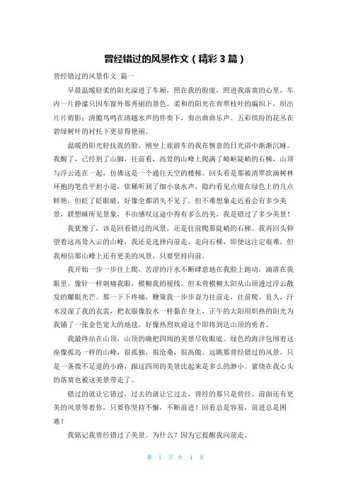 曾经错过的风景作文(精彩3篇)
