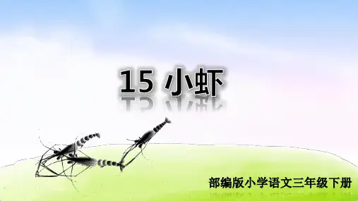 部编版三年级语文下册第15课《小虾》精品课件(共76张PPT)