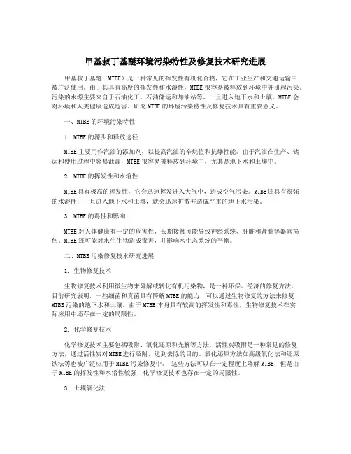 甲基叔丁基醚环境污染特性及修复技术研究进展