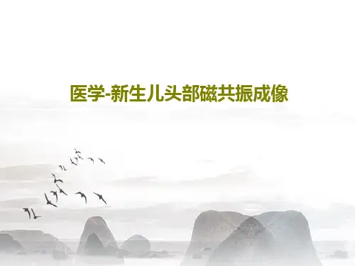 医学-新生儿头部磁共振成像45页PPT