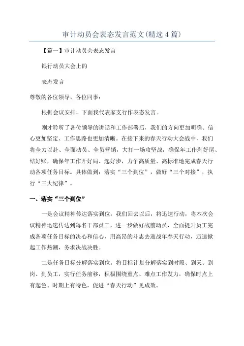 审计动员会表态发言范文(精选4篇)