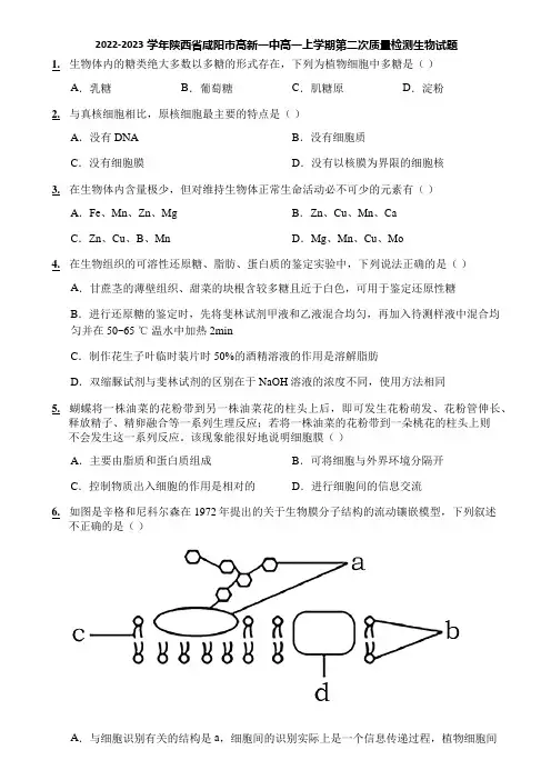 2022-2023学年陕西省咸阳市高新一中高一上学期第二次质量检测生物试题