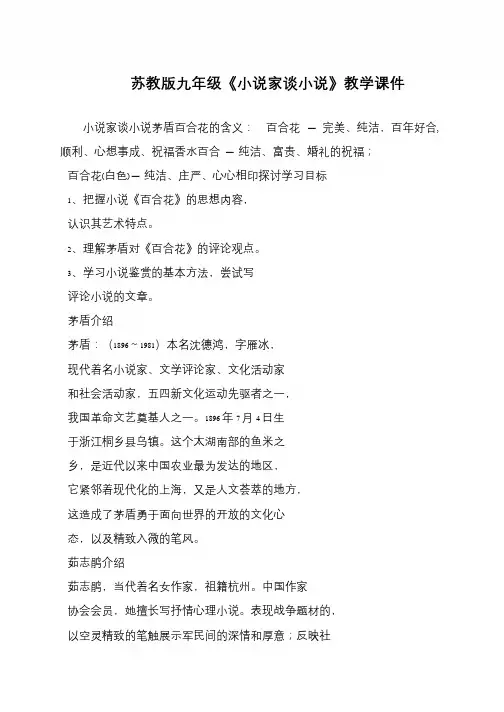 苏教版九年级《小说家谈小说》教学课件