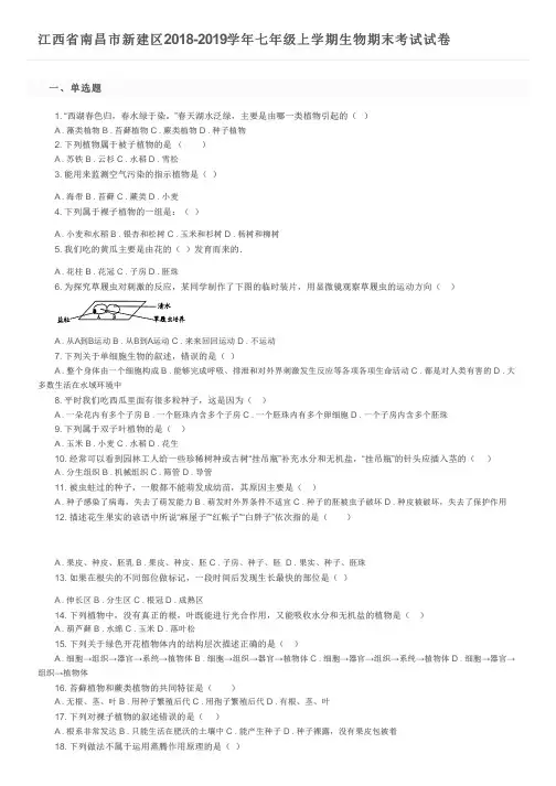 江西省南昌市新建区2018-2019学年七年级上学期生物期末考试试卷及参考答案
