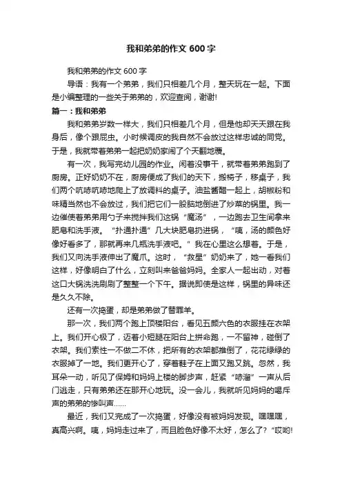 我和弟弟的作文600字