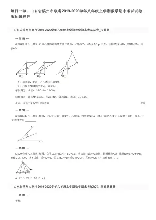 每日一学：山东省滨州市联考2019-2020学年八年级上学期数学期末考试试卷_压轴题解答