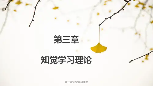 儿童心理发展理论 第三章知觉学习理论