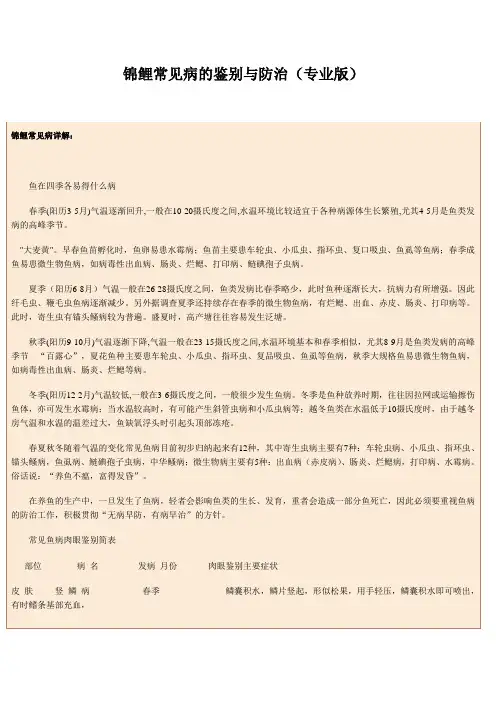 锦鲤常见病的鉴别与防治