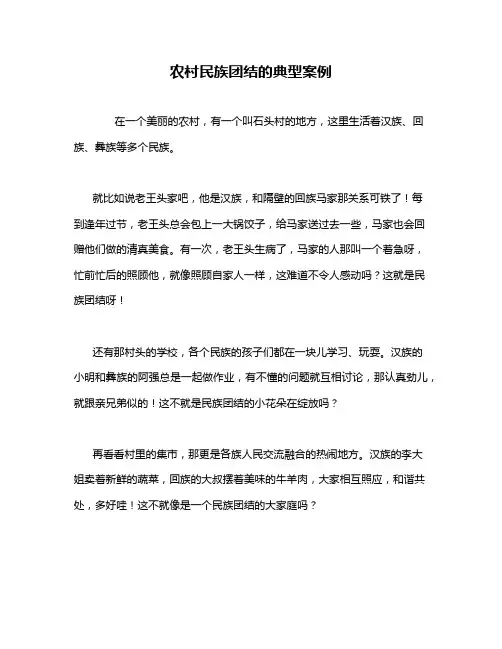 农村民族团结的典型案例