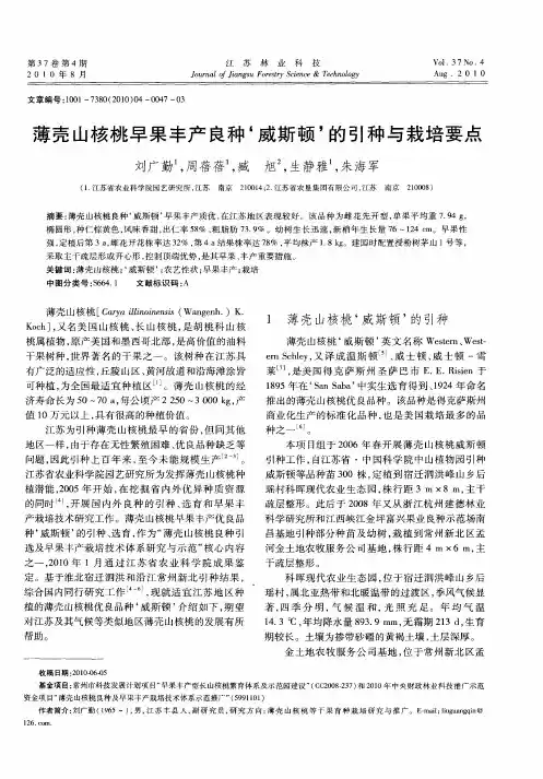 薄壳山核桃早果丰产良种‘威斯顿’的引种与栽培要点