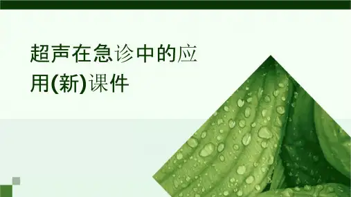 超声在急诊中的应用(新)课件