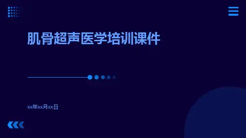 肌骨超声医学培训课件
