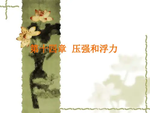 初中物理《压强与浮力总复习》(共20张)ppt