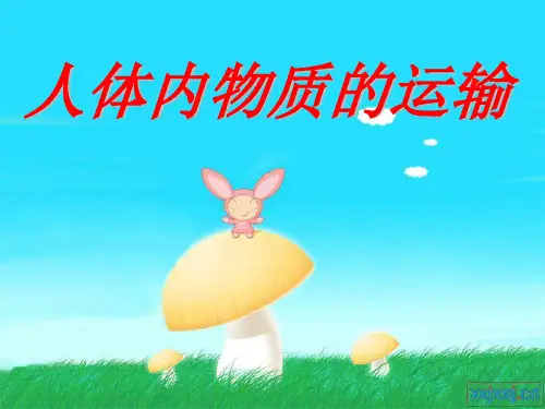 七下第四单元第四章人体内物质的运输复习课件