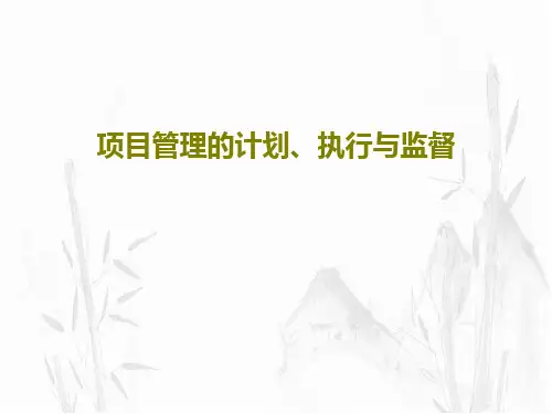 项目管理的计划、执行与监督共30页文档