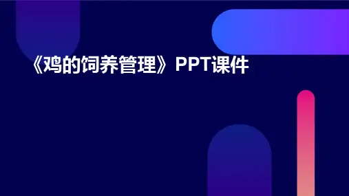 《鸡的饲养管理》课件