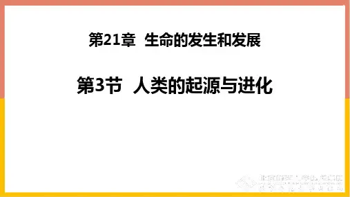 北师大版八年级生物下册 人类的起源和进化 新课件下载新