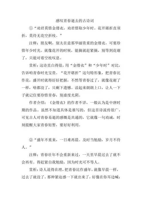感叹青春逝去的古诗词