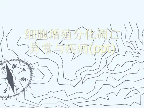 细胞增殖分化凋亡异常与疾病(ppt)