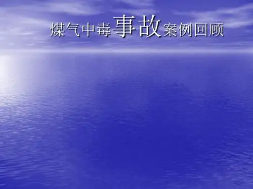 煤气中毒事故案例PPT课件