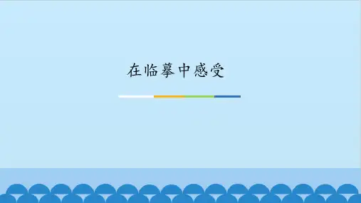 2020—2021学年苏少版七年级美术下册课件-第3课 在临摹中感受 