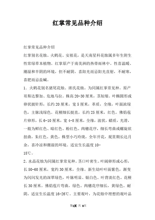 红掌常见品种介绍