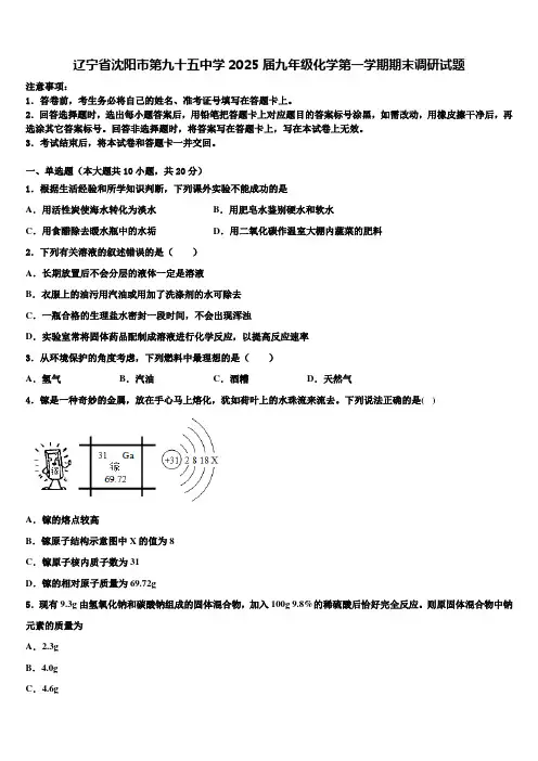 辽宁省沈阳市第九十五中学2025届九年级化学第一学期期末调研试题含解析