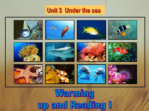 高中英语选修7 Unit 3 Under the Sea period1 课件1 共28张 精品