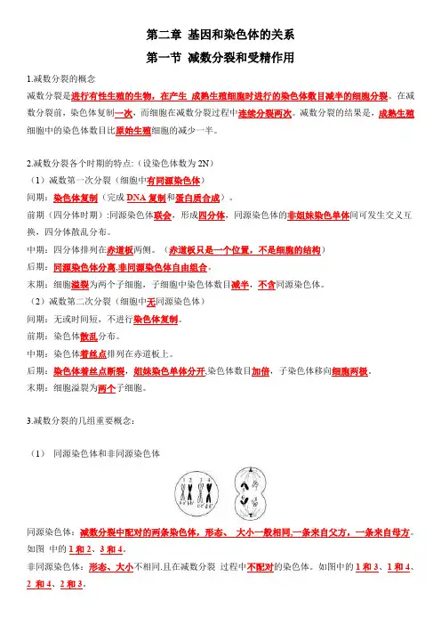 第2章 基因和染色体的关系-高一生物单元必背知识清单(记忆版)