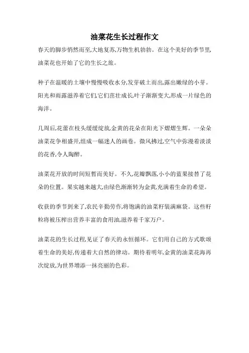 油菜花生长过程作文