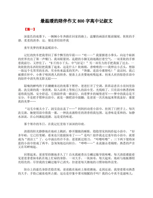 最温暖的陪伴作文800字高中记叙文