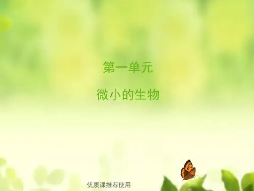 青岛小学科学六上《1、病毒》PPT课件 (3)