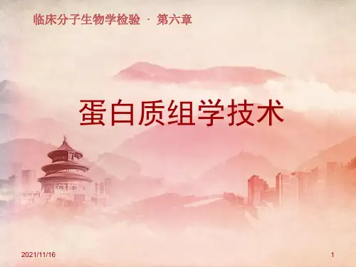课件：第六章 蛋白质组学技术