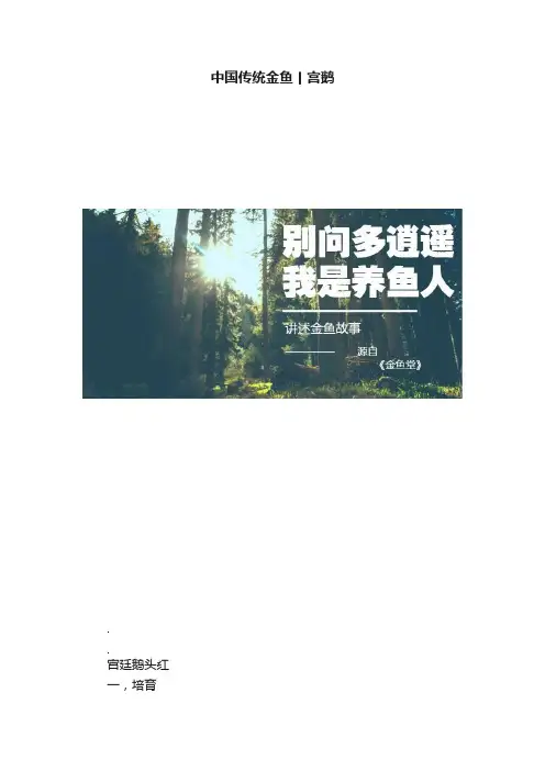 中国传统金鱼丨宫鹅