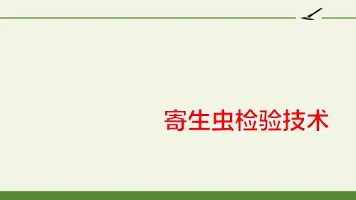 钩虫致病性-获奖版PPT课件