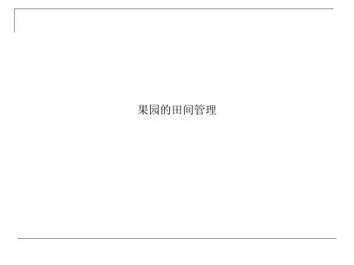 果园的田间管理