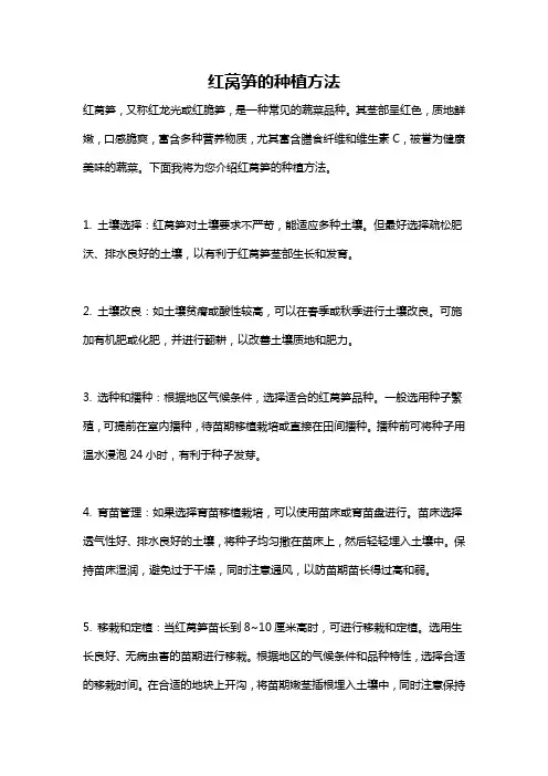 红莴笋的种植方法