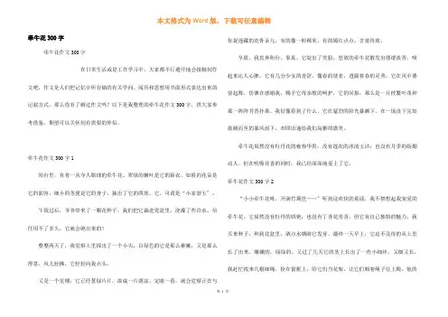 牵牛花300字